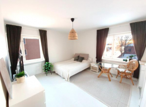 Cozy and bright studio apartment in the center